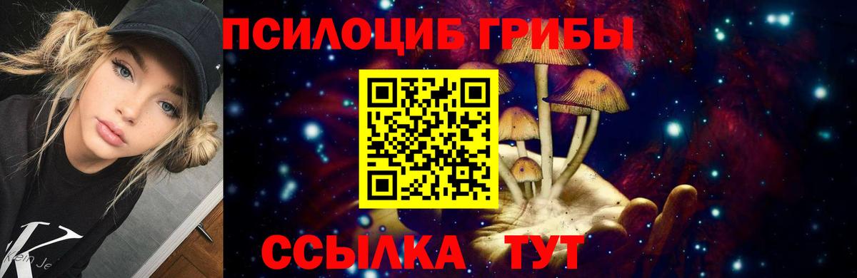 Кизилюрт  Галлюциногенные грибы мицелий  Вход с VPN 